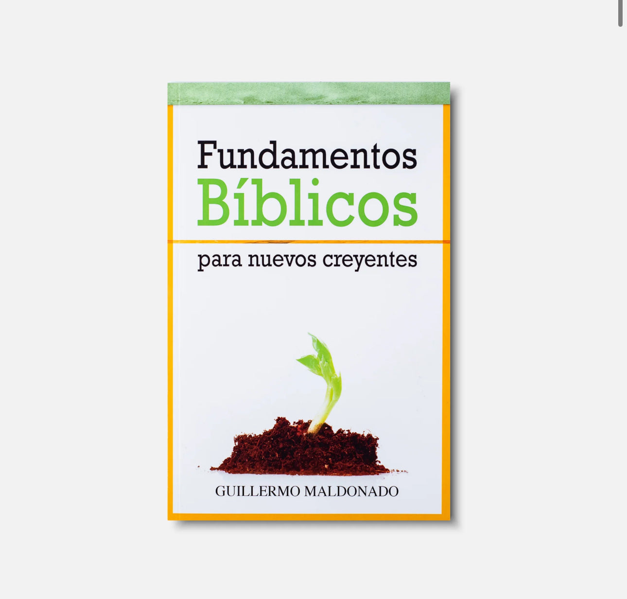 Fundamentos Bíblicos Para Nuevos Creyente