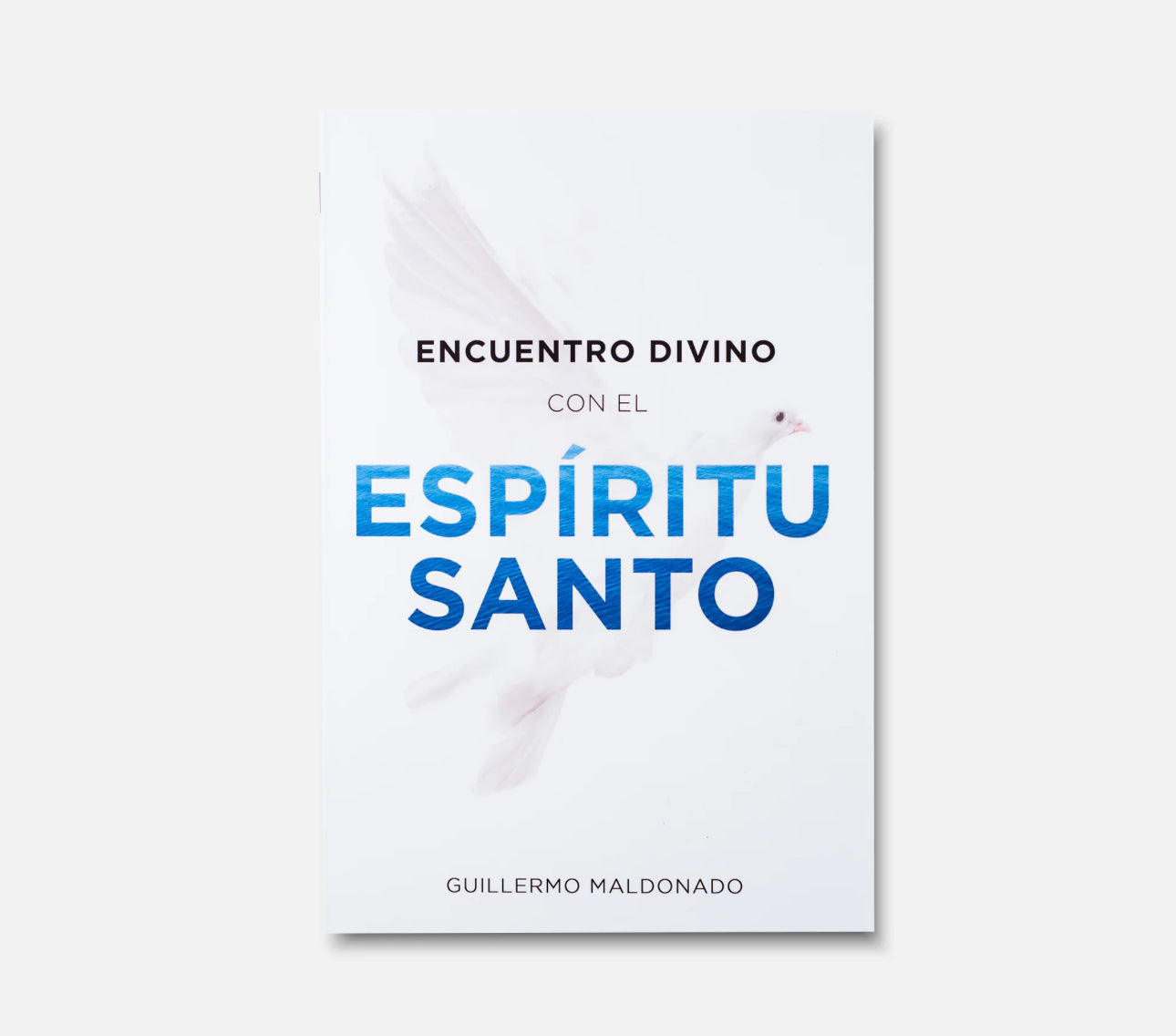 Encuentro Divino Con El Espíritu Santo