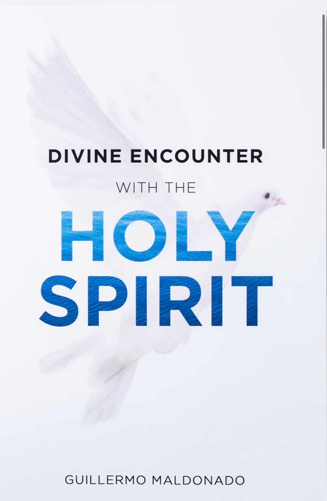 Divine Encounter with the Holy Spirit
