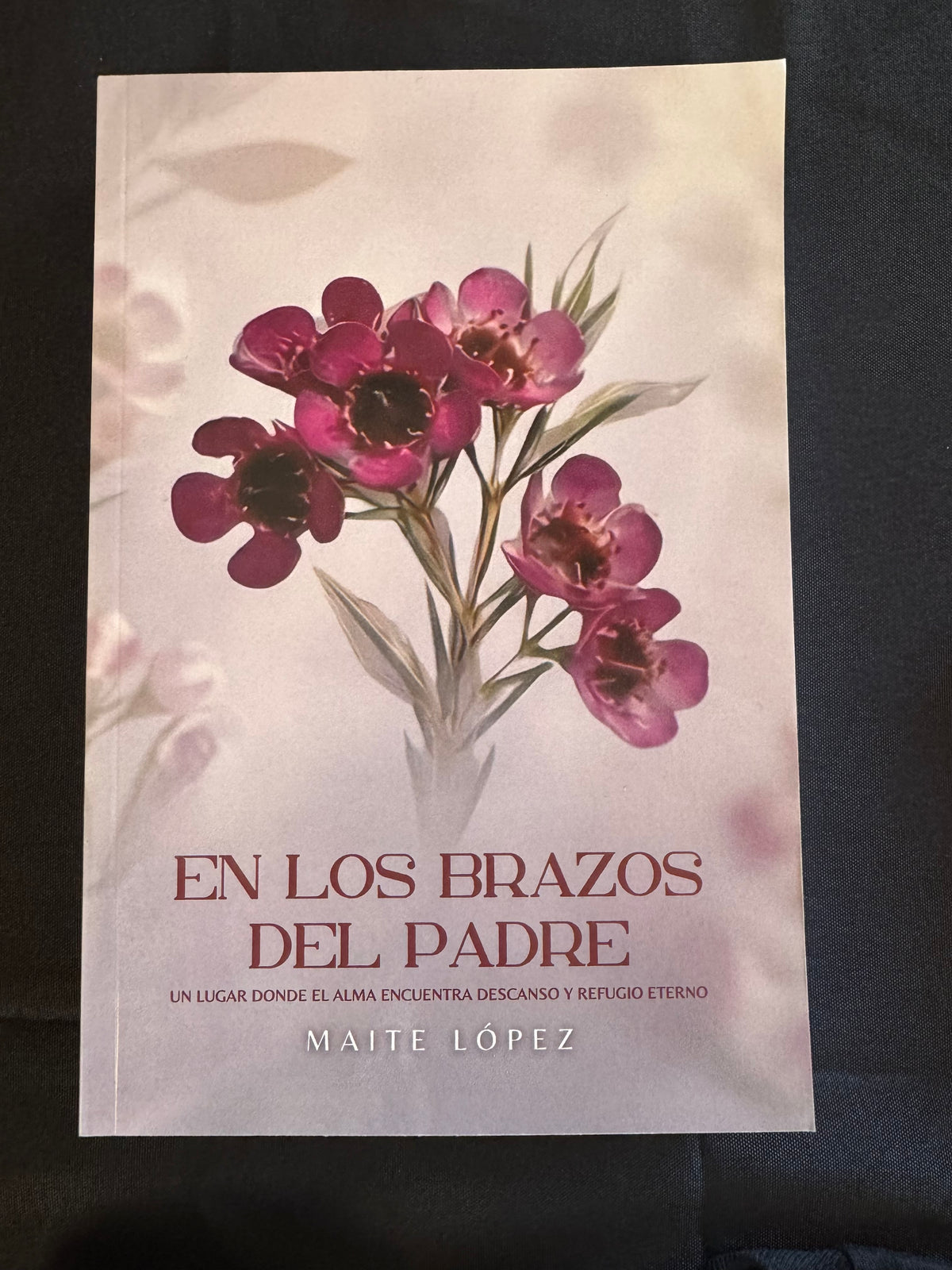 En Los Brazos Del Padre